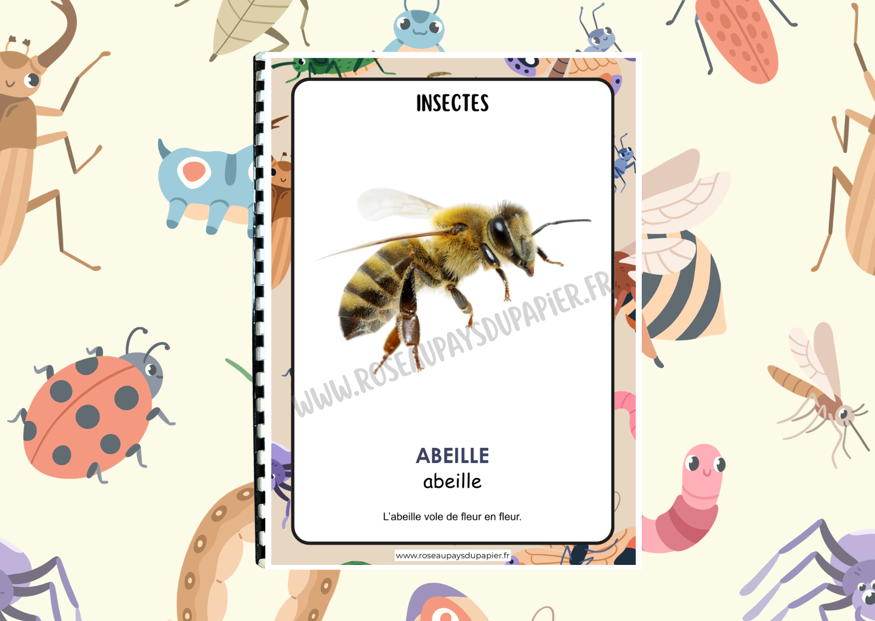 Mon petit imagier des insectes
