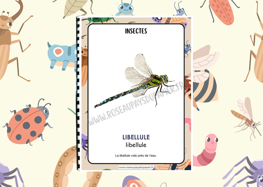Mon petit imagier des insectes