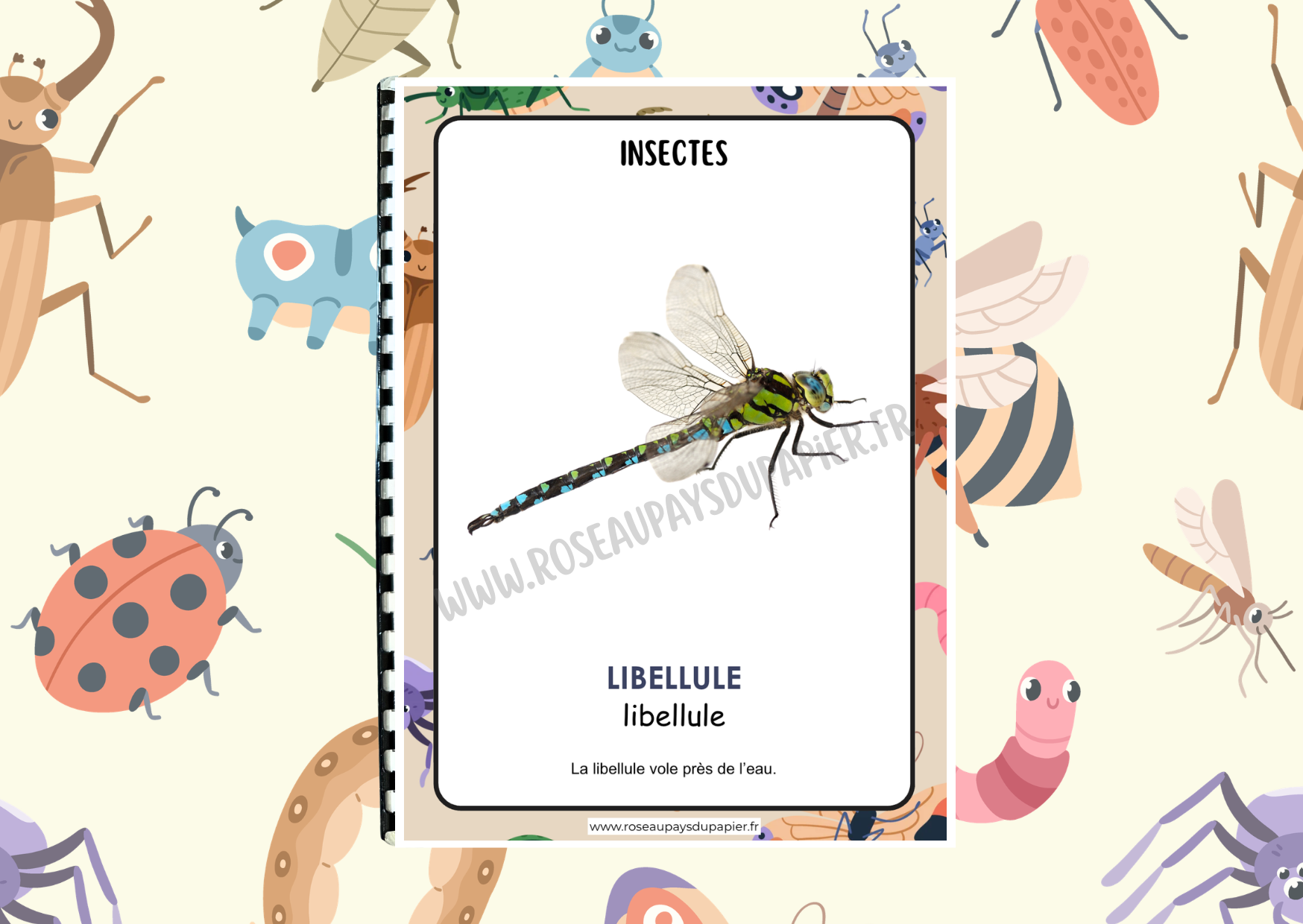 Mon petit imagier des insectes