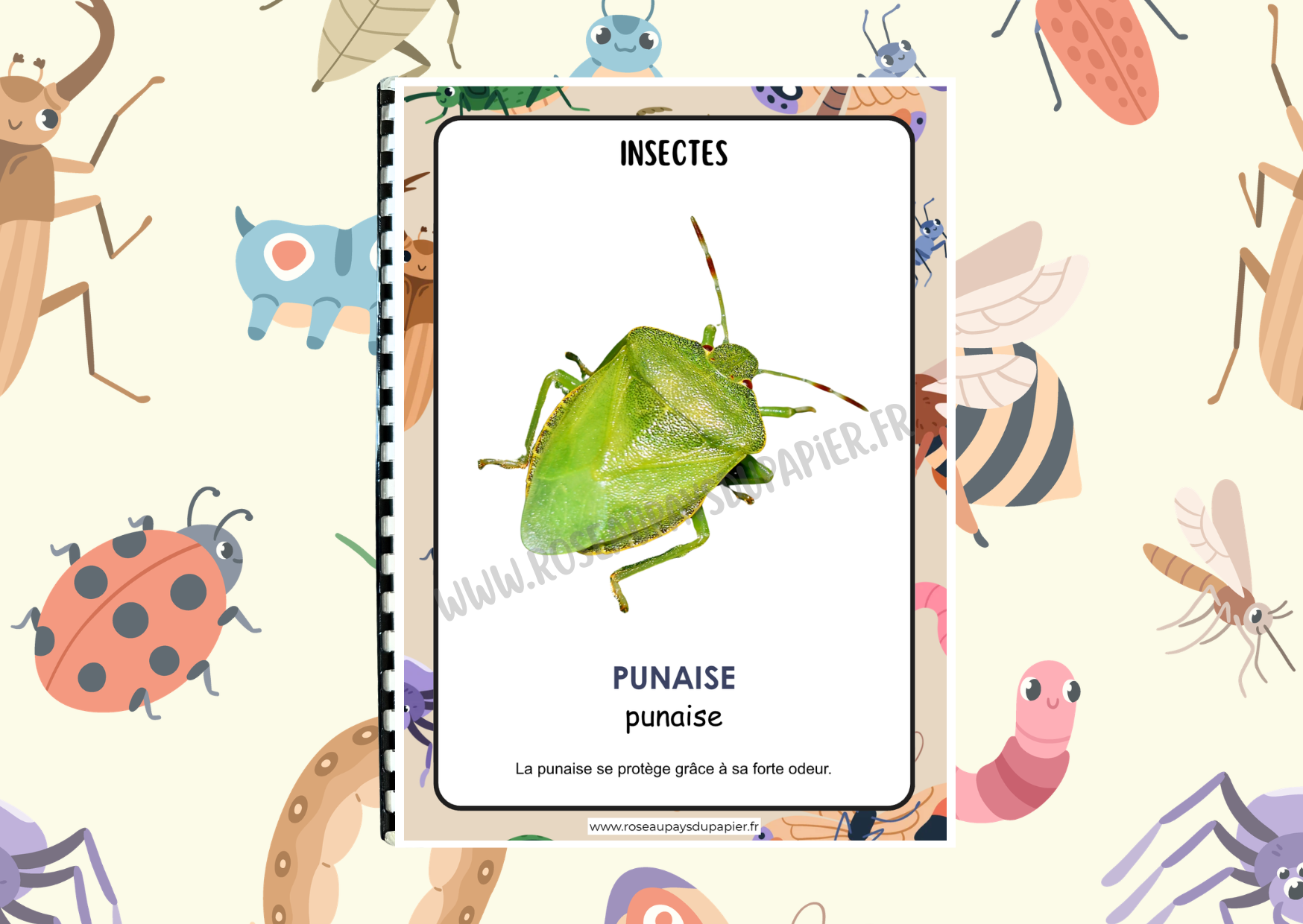 Mon petit imagier des insectes